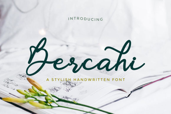 Bercahi Script Font: A Web Designer's Review for Digital Branding