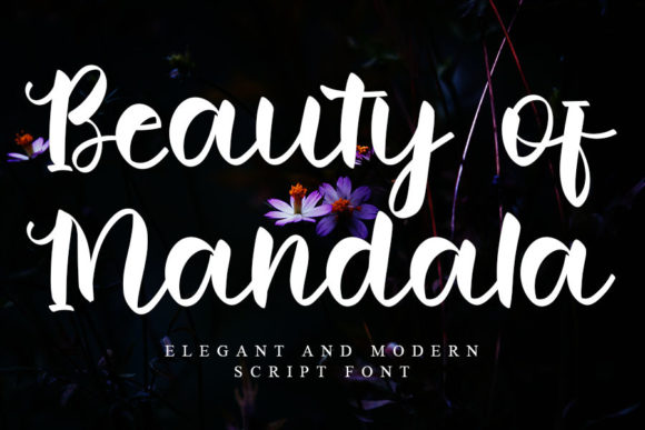 Designing with Beauty of Mandala: A Whimsical Script Font for Branding