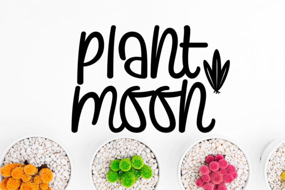 Plants and Moon Font: A Whimsical Script for Social Campaigns