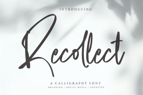 Recollect: A Flowing Script Typeface for Editorial Design