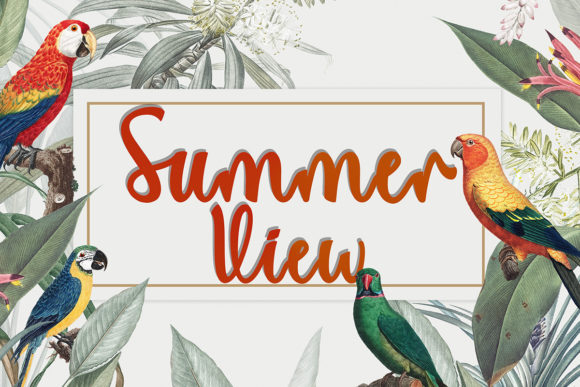 Summer View: The Script Font for Scroll-Stopping Marketing